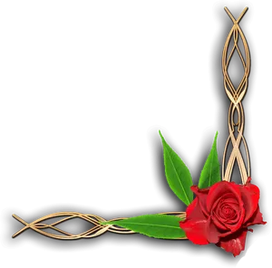 Elegant_ Rose_ Corner_ Border_ Design PNG Image