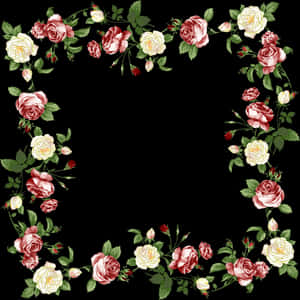 Elegant_ Rose_ Flower_ Border PNG