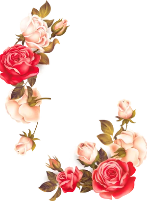 Elegant Rose Flower Border PNG Image