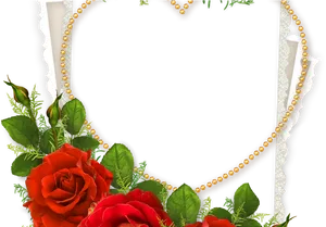 Elegant Rose Frame Design PNG Image