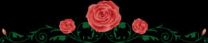 Elegant Rose Vine Border PNG
