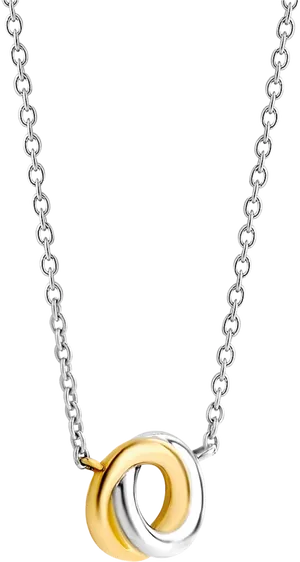 Elegant Silver Gold Chain Pendant.jpg PNG Image