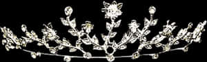 Princess Tiara Png - Tiara Png, Transparent Png PNG