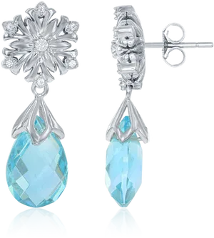 Elegant Snowflake Drop Earrings PNG Image