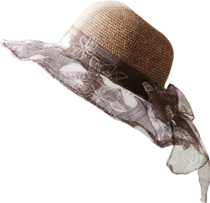 Chinese Straw Hat Png, Transparent Png PNG image with transparent background