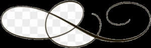 Elegant_ Swirl_ Decorative_ Line.png PNG