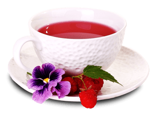 Elegant Tea Cup With Berries And Flower PNG