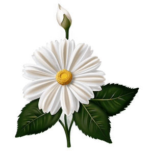 Elegant White Flower PNG 54 PNG image with transparent background