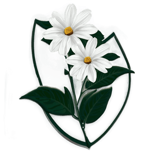 Elegant White Flower PNG 67 PNG image with transparent background