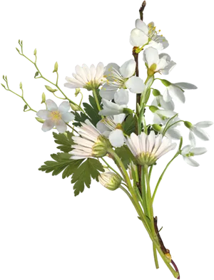 Elegant White Flowers Arrangement PNG Image