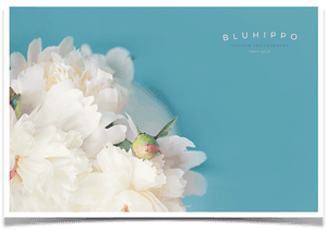 Beautiful Pictures Of Peonies - Common Peony, HD Png Download PNG with transparent background