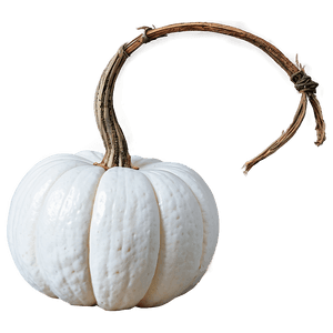 Elegant White Pumpkin PNG nfk PNG