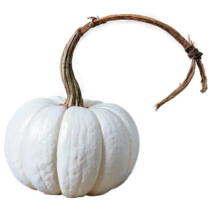 Elegant White Pumpkin Png Nfk PNG Image