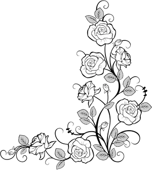 Elegant White Roses Corner Design PNG Image