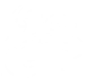 Elegant White Swirlson Black PNG Image