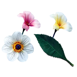 Elementary Flower Png Dja PNG Image