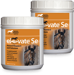 Elevate Se Natural Vitamin E Selenium Supplement Horses - Vitamin E For Horses, HD Png Download PNG with transparent background