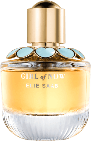 Perfumes Elie Saab, HD Png Download PNG