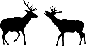 รูป กวาง ขาว ดำ, HD Png Download PNG image with transparent background