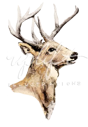 Elk Watercolor Illustration PNG Image