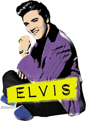 Elvis Pop Art Portrait PNG Image