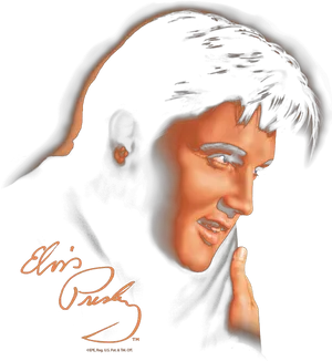 Elvis Presley Iconic Stylized Portrait PNG Image