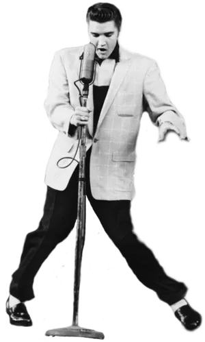 Elvis Presley Performingin Concert PNG Image