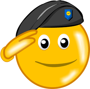 Salute Sticker For Whatsapp , Transparent Cartoons - Salute Symbol In Whatsapp, HD Png Download PNG image with transparent background