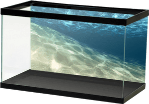 Slantedsandopenwater - Aquarium Frosted Background, HD Png Download PNG image with transparent background