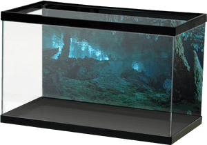 Aquariumvinyl Stalagmightcave - Aquarium Vinyl Self Clinging Backgrounds, HD Png Download PNG image with transparent background