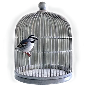 Empty Bird Cage Png 98 PNG Image