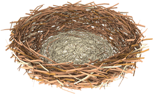 Nest Clipart Png, Transparent Png PNG