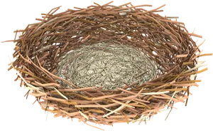 Empty Bird Nest Isolated PNG Image