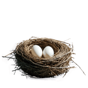 Empty Bird Nest PNG 05252024 PNG