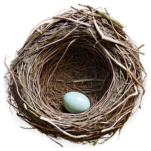 Empty Bird Nest Png 25 PNG Image