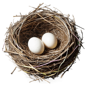 Empty Bird Nest PNG 92 PNG