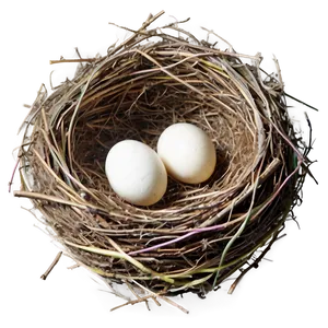 Empty Bird Nest Png 92 PNG Image