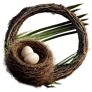 Empty Bird Nest PNG vjy PNG