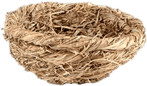 Bird Nest,nest - Png Image Bird's Nest Png, Transparent Png PNG