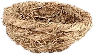 Empty Bird Nest Texture PNG Image