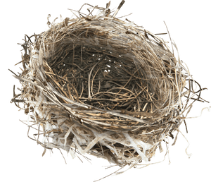 Nest Png Transparent Images - Bird Nest Transparent, Png Download PNG with transparent background