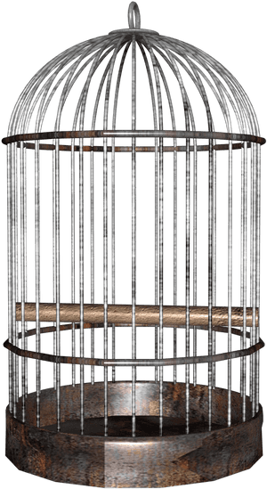 Cage Background Png - Transparent Bird Cage Png, Png Download PNG with transparent background