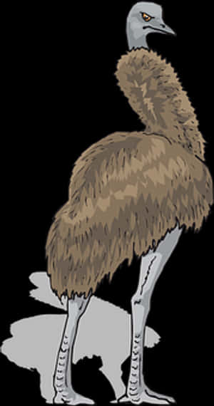 Emu Illustration Brown Feathers PNG image with transparent background