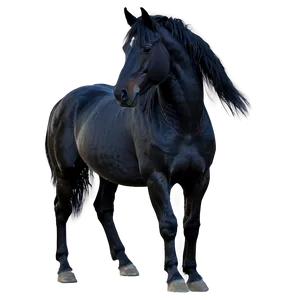 Enchanted Black Horse Magic Png 06262024 PNG Image