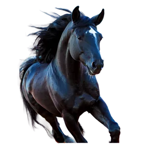 Enchanted Black Horse Magic Png 73 PNG Image