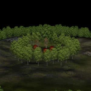 Enchanted Forest Cabins Night Scene PNG image with transparent background