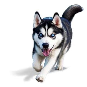 Energetic Siberian Husky Png 06252024 PNG Image