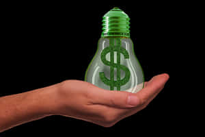 Energy Cost Concept Lightbulb PNG image with transparent background