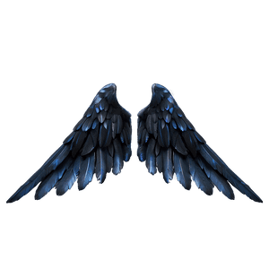 Enigmatic Black Wings PNG 06232024 PNG image with transparent background