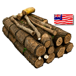 Environmental Impact of Deforestation PNG ibb PNG